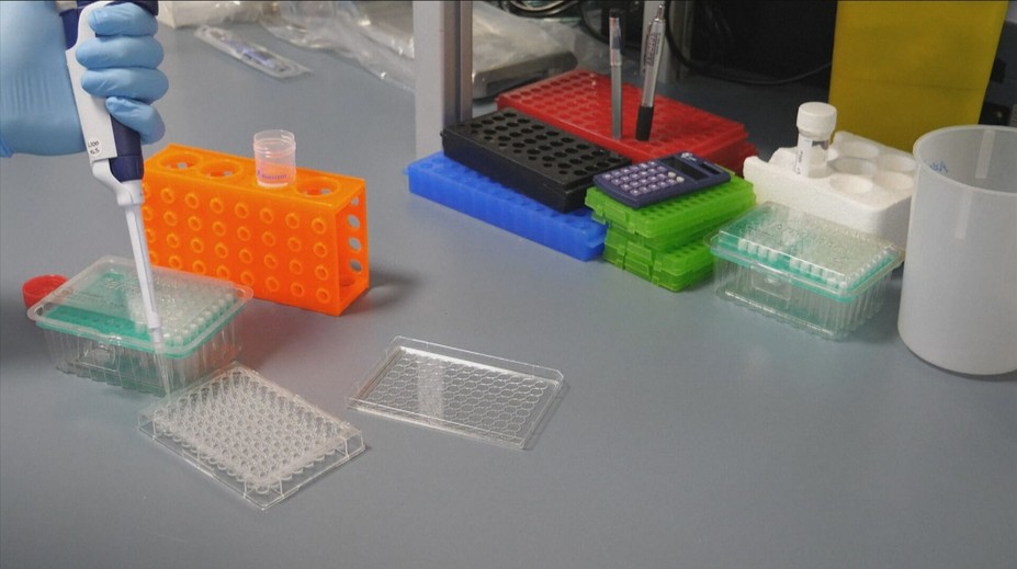 Lék z lysohlávek jako nová naděje při léčbě depresí. Vědci shánějí dobrovolníky