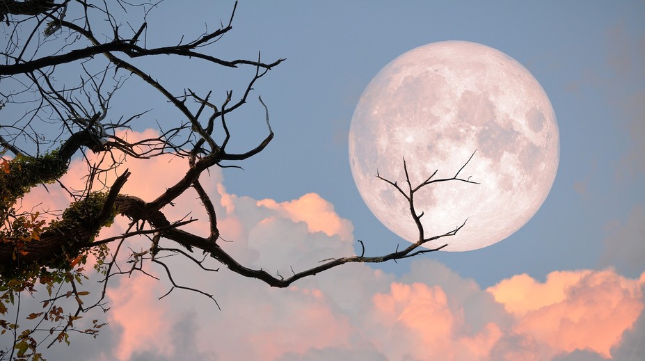 První superúplněk roku přijde už v lednu. Doprovodí ho meteorický roj