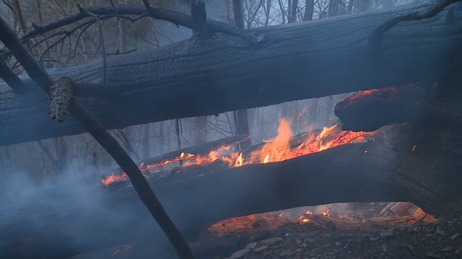 Hasiči zasahují u požárů lesů a trávy. Na vině je nedbalost při pálení klestí
