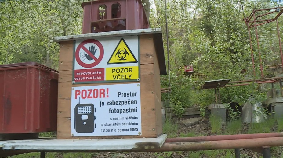 Krádež úlů na Žďársku vyšetřuje policie. Zloděj způsobil škody za desítky tisíc