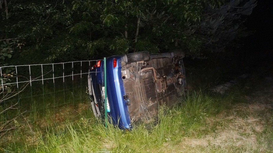 Kvůli dvěma psům se na dálnici zranil motorkář a převrátilo auto