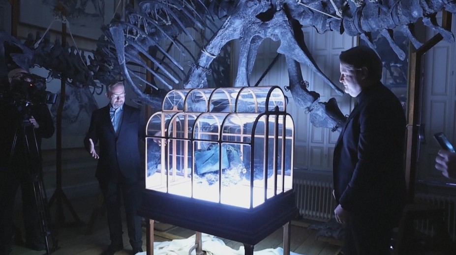 Vědci vytvořili unikátní kabelku. Je potažená kůží tyranosaura