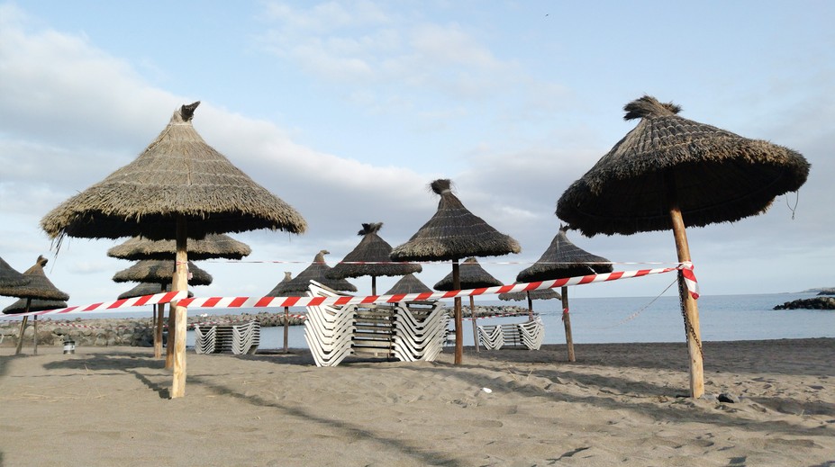 Na oblíbené pláži našli záhadné tvory. Netušila jsem, že je to živé, říká žena