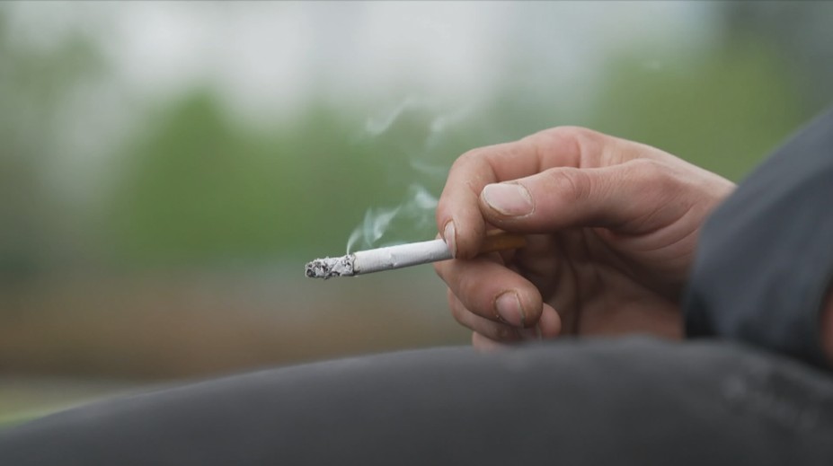 V Česku roste počet padělaných cigaret. Falešná je každá patnáctá