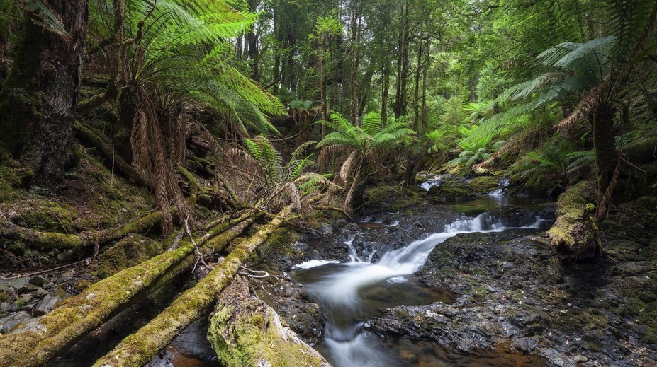 Mladá turistka zmizela na dovolené. Po třech letech přišla tragická zpráva