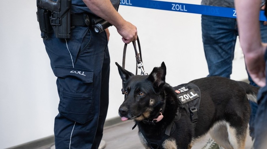 Pavoučí pohroma na letišti. Nemohli jsme tomu uvěřit, řekl celník po otevření kufru