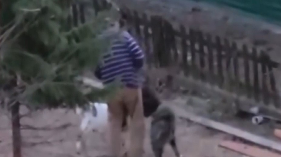 VIDEO: Kozu surově napadl pes. Majitel nechal zvíře trpět, není to prý poprvé