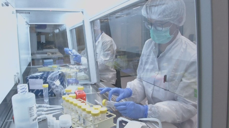 Vědec se chlubí přepsanou DNA dětí, experty jeho pokus děsí!