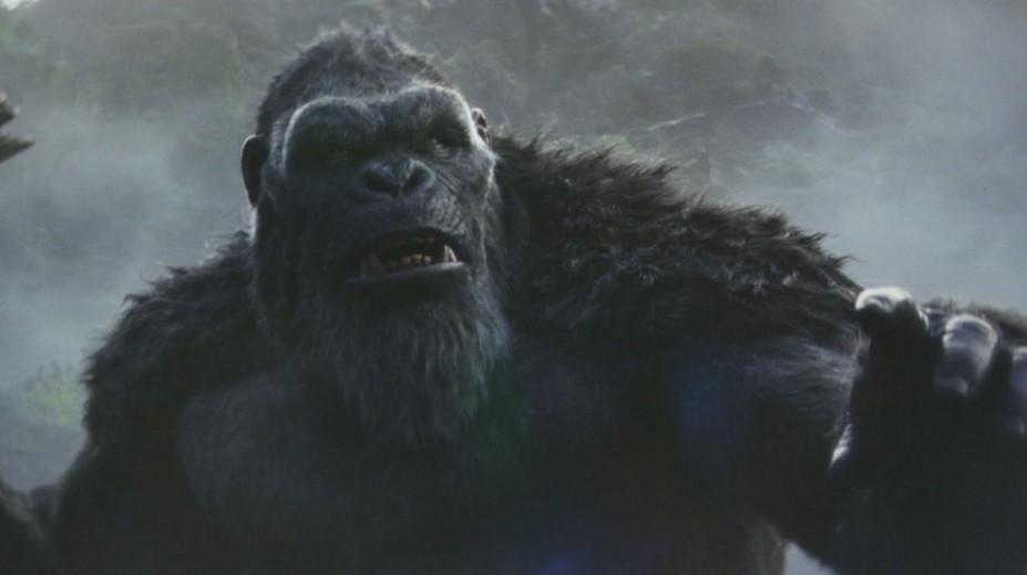 Do kin míří nový velkofilm. Porve se v něm Godzilla s Kongem