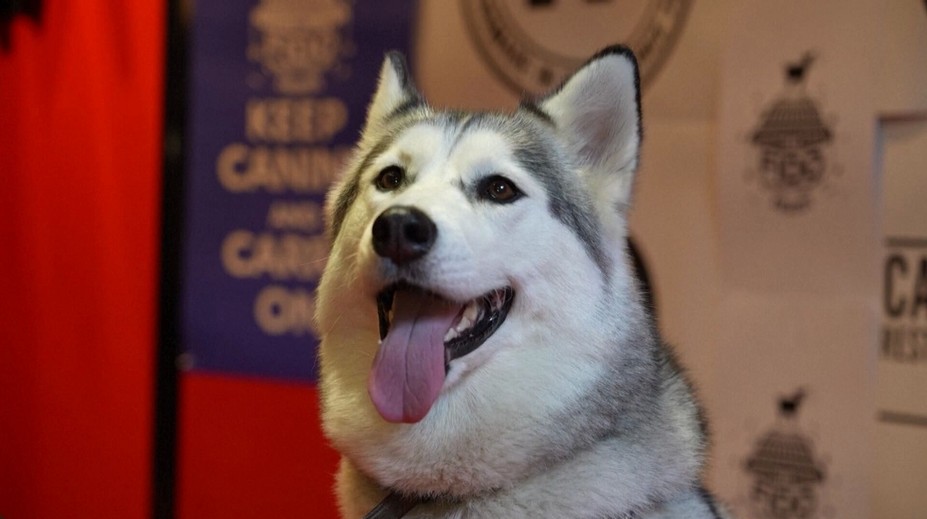 Giải thưởng Fido