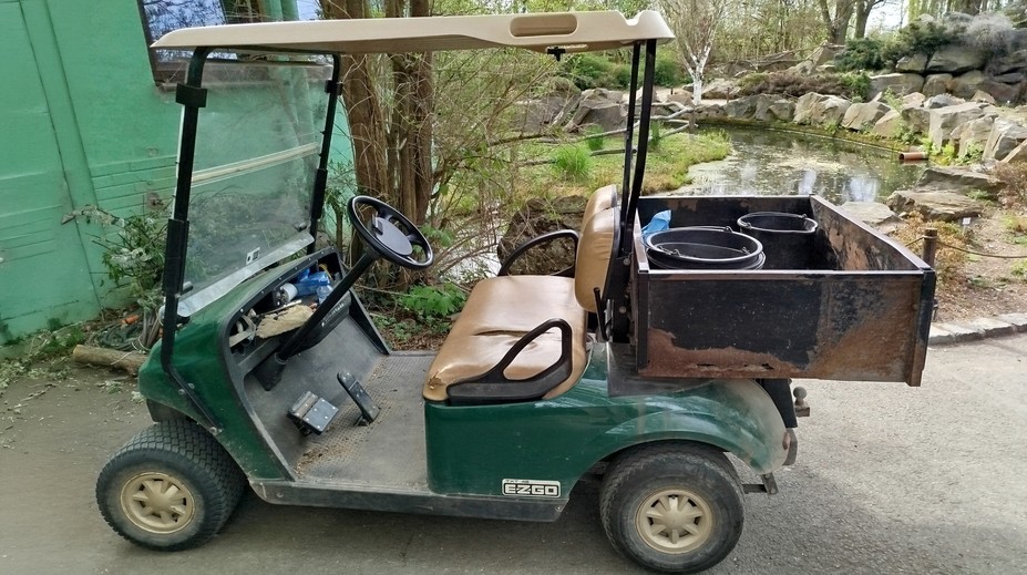 Záhadná krádež v plzeňské zoo. Ztratil se zelený golfový vozík