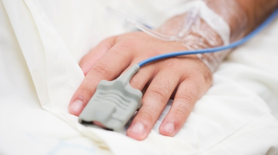 U českých hranic se objevil vzácný virus. Je smrtelně nebezpečný