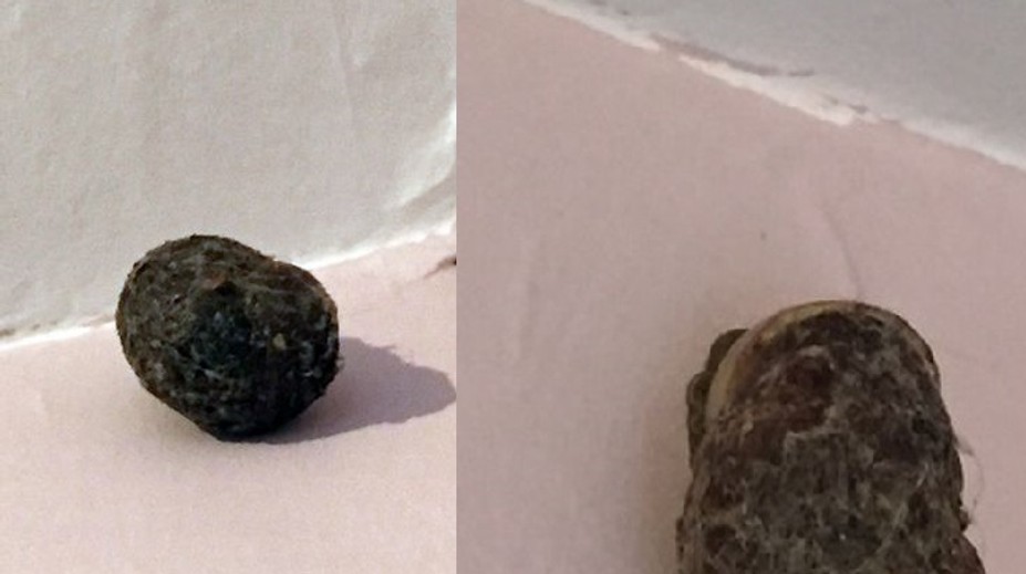 Záhadný předmět se objevil v pokoji malé holčičky! Co to je?