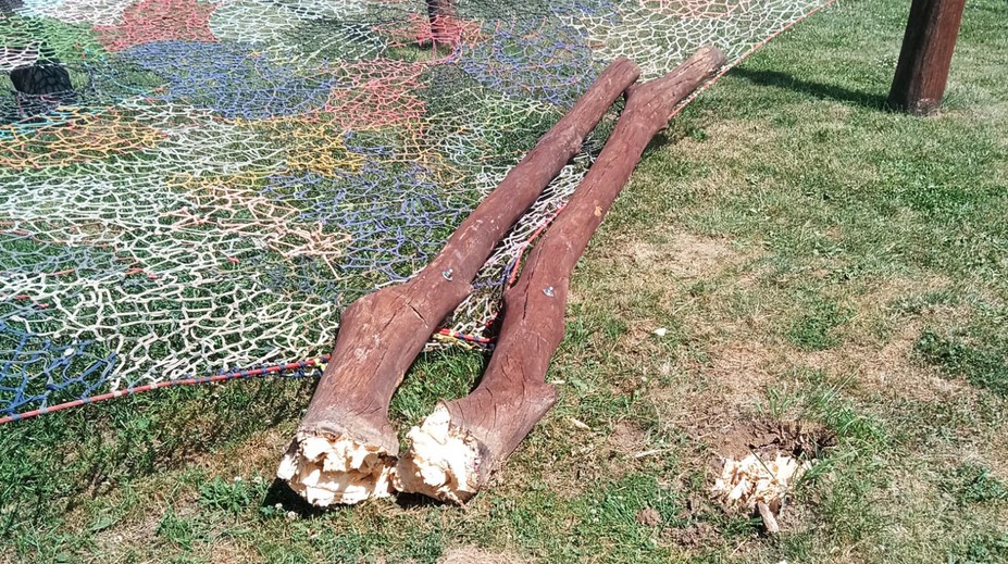 Na děti v zooparku u Mělníka spadl kůl. Zraněné skončily v nemocnici