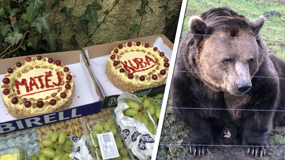Pohádkoví medvědi slavili 20 let! Jsou líní a Kuba trochu alkoholik