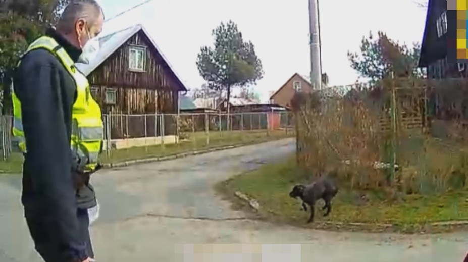 V Ostravě našli zbídačeného psa. Páníček mu svazoval packy, aby neutíkal