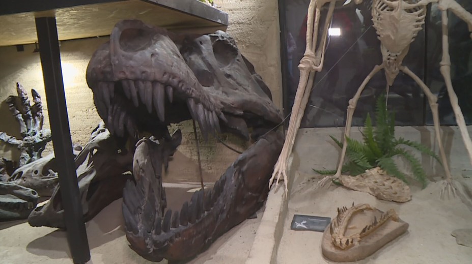 Một bảo tàng khủng long ở Charváty