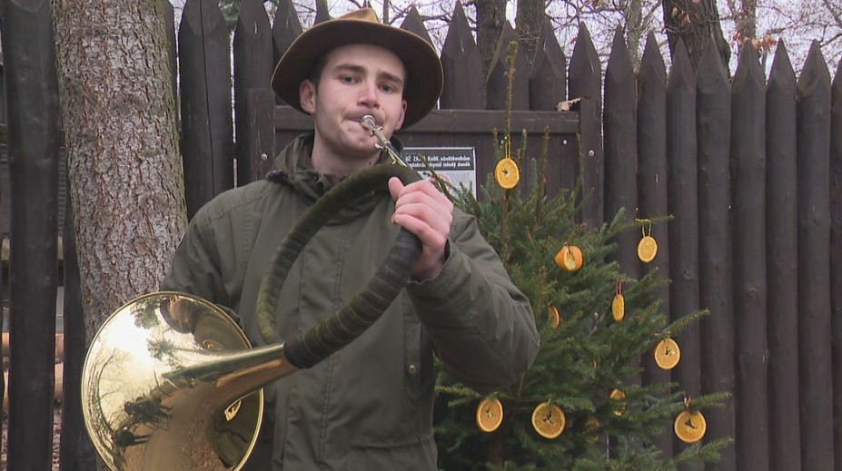 Do lesa: Lidé o Vánocích krmí divokou zvěř. Často volí nevhodnou potravu