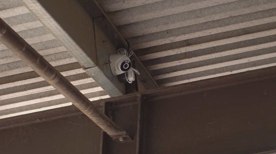 Luật mới yêu cầu lắp đặt camera tại các lò mổ ở Séc