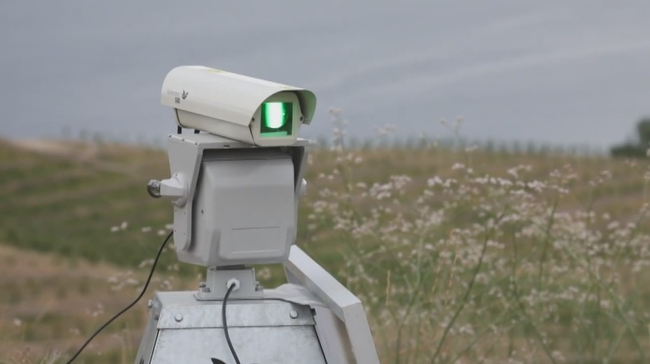 Laserem proti špačkům! Na Moravě chrání vinice nová technologie