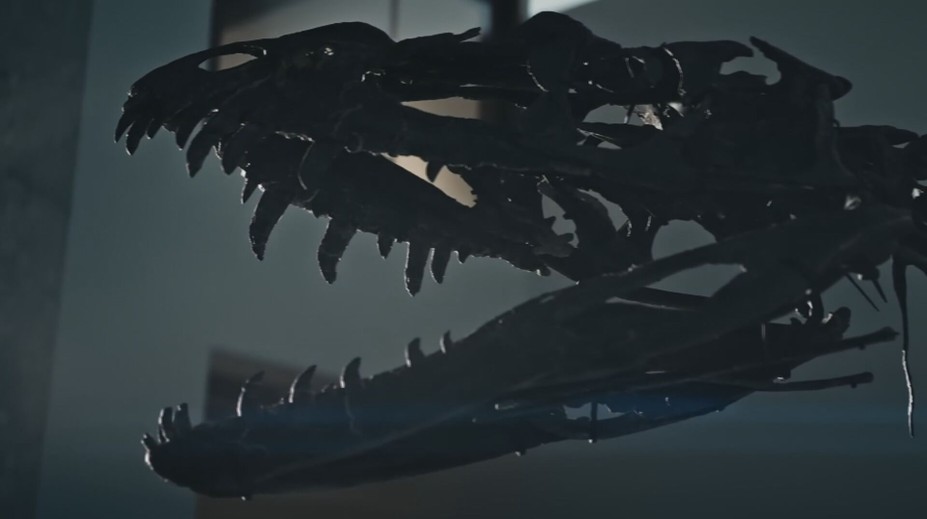 Kostry dinosaurů jako luxusní investice. Muzea jsou proti