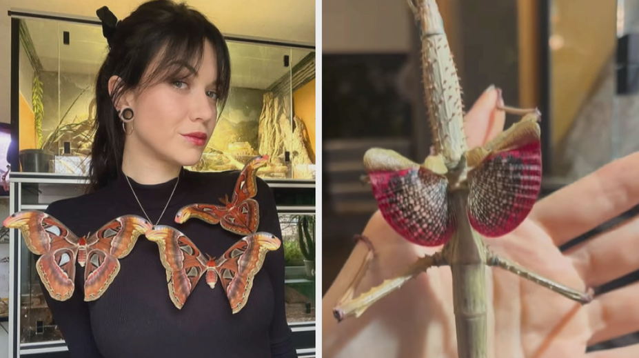 Žena má doma opravdu netradiční mazlíčky. Tahle zvířata nemá nikdo rád, říká chovatelka