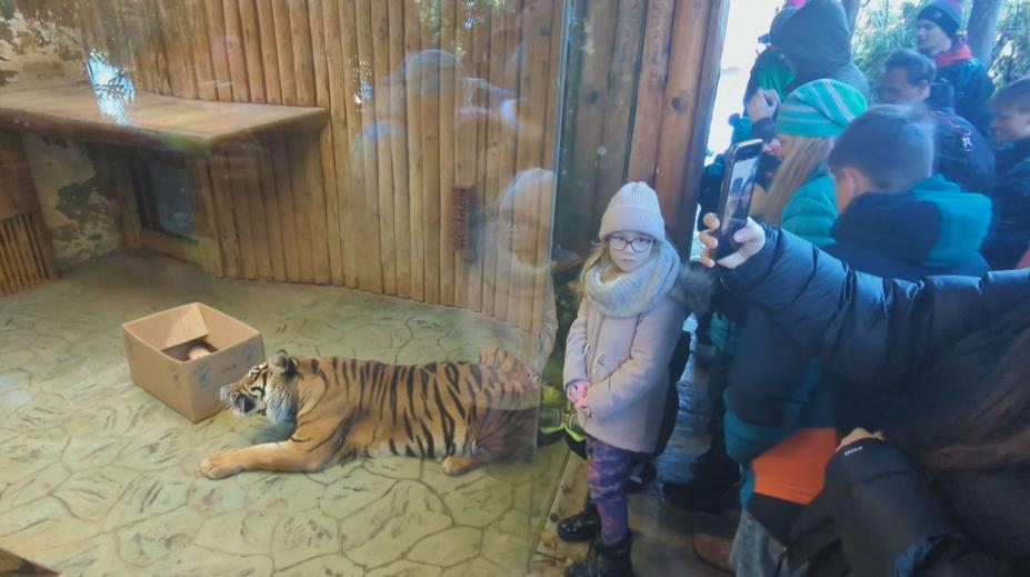 Štědrý den v zoo: Zvířata dostala speciální vánoční pochoutky