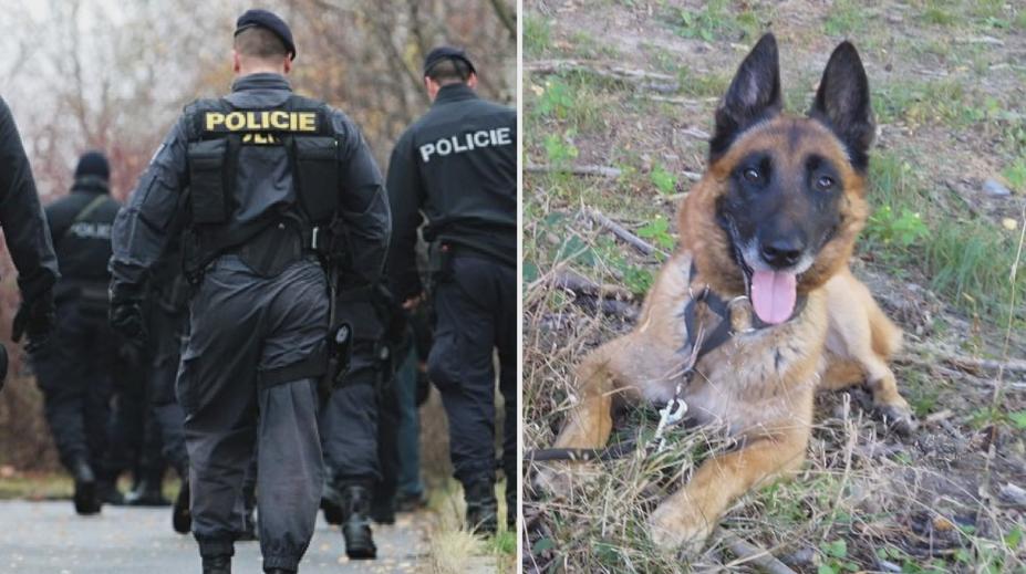Policisté se zaměřují na chatové oblasti: Pomáhají i služební psi