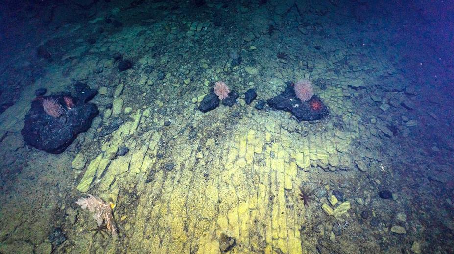 Vědci zkoumali dno Tichého oceánu. Objevili záhadnou cihlovou cestu