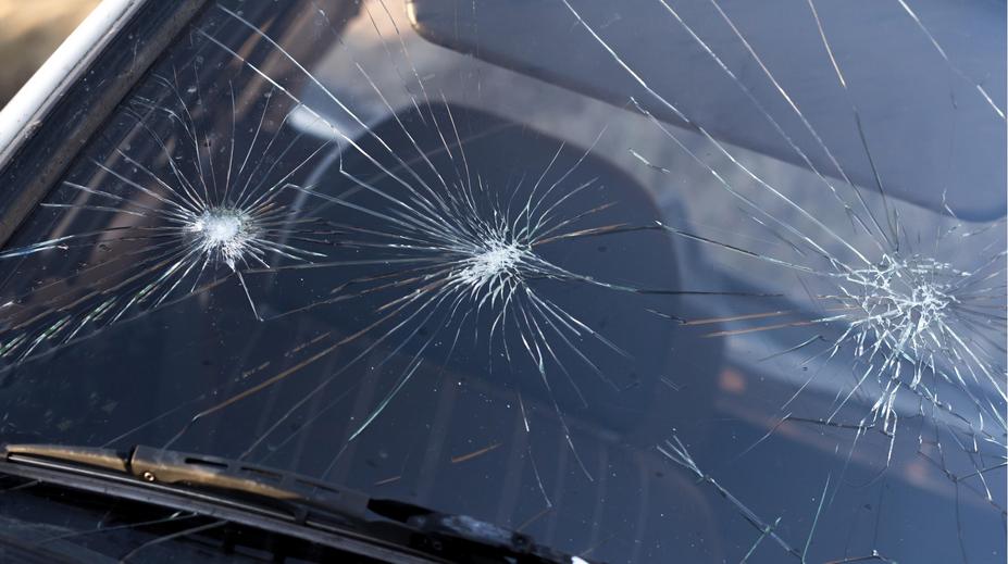 Hlášky motoristů v roce 2025: Nadržení ptáci, rozzuřený kozel i sestra v akci