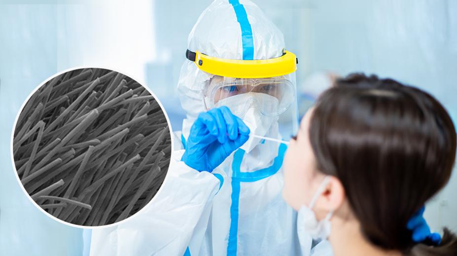 Čechy děsí zprávy o šíření parazitů během testů. Vědci vše vysvětlili
