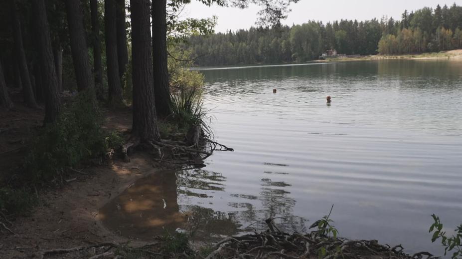 Pískovny v létě lákají ke koupání. Lidé zákazům navzdory riskují zdraví