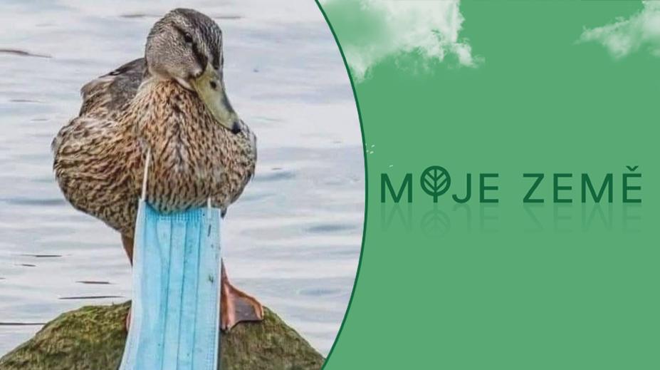 Lidé stříhají na rouškách poutko, než je vyhodí! Pomáhá to přírodě