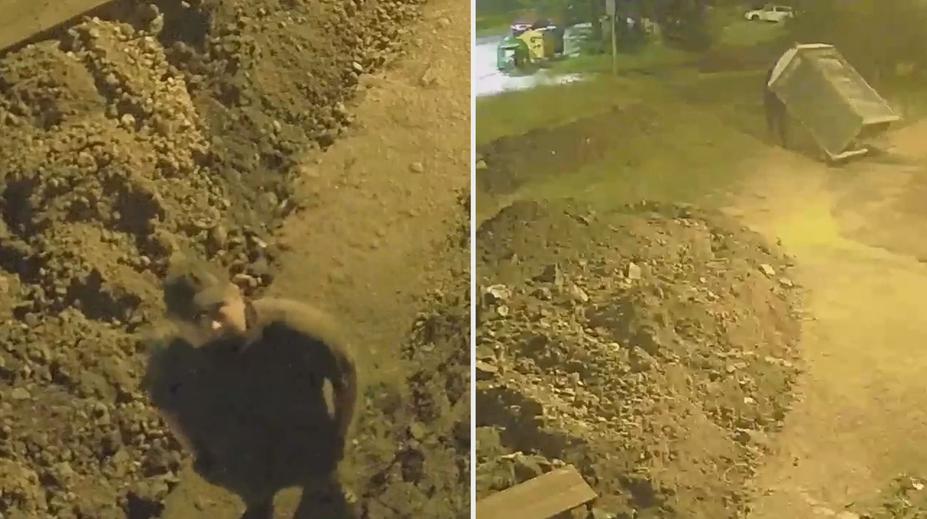 Lup, který je cítit široko daleko. Muž v Praze ukradl pojízdnou toaletu