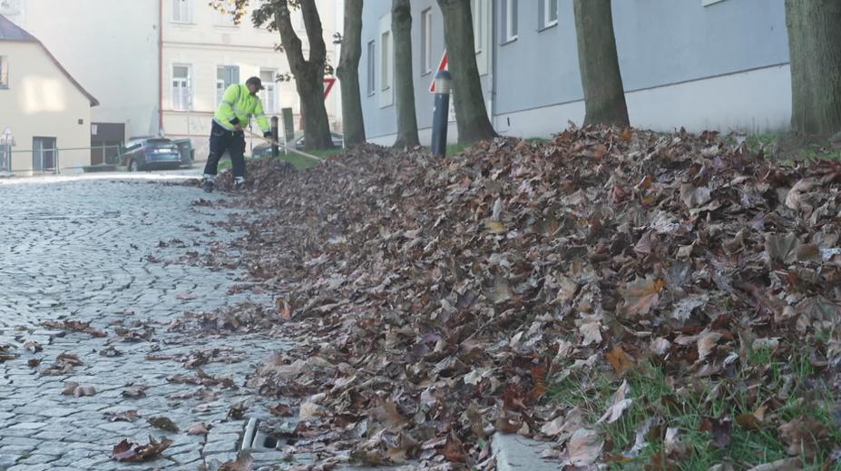 Města bojují s tunami listí. Kompostárny nestíhají