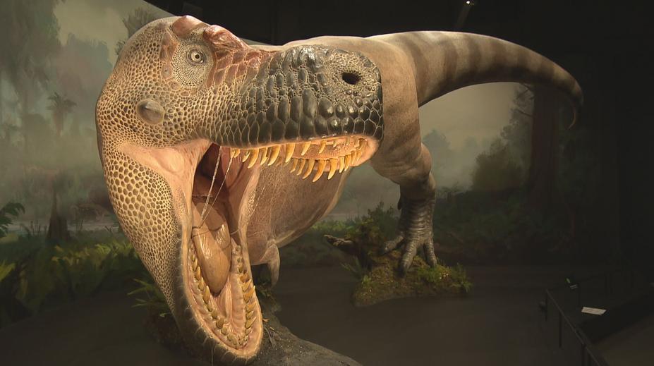 Výstava dinosaurů otevře své brány v Tuchoměřicích u Prahy