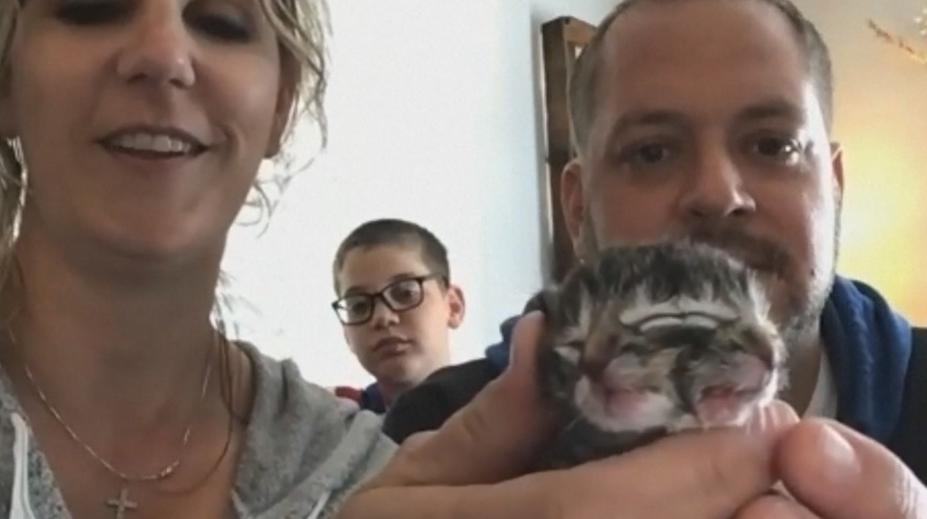 Zrůdná krása: Kotě se narodilo se čtyřma očima a druhou tváří