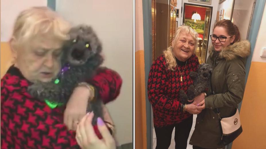 Šťastný konec pátrání! Seniorce z Pardubic vrátili ukradeného psa