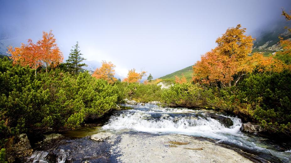 Slovensko řeší skandál. Poslankyně se vykoupala, kde neměla