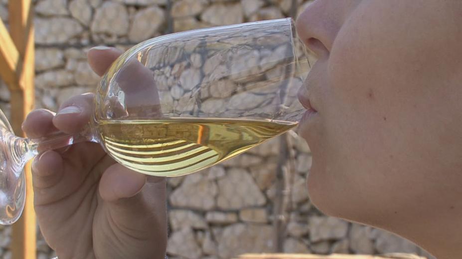 Ochutnávky už turisty moc nelákají. Vinaři proto rozšiřují nabídku služeb