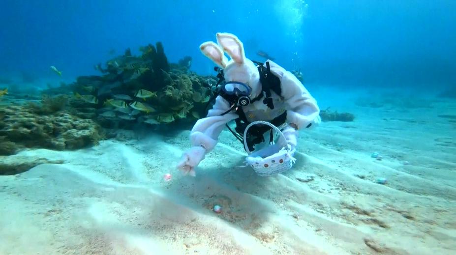 VIDEO: Neobvyklé sbírání velikonočních vajec! Zajíc je schoval na dno oceánu