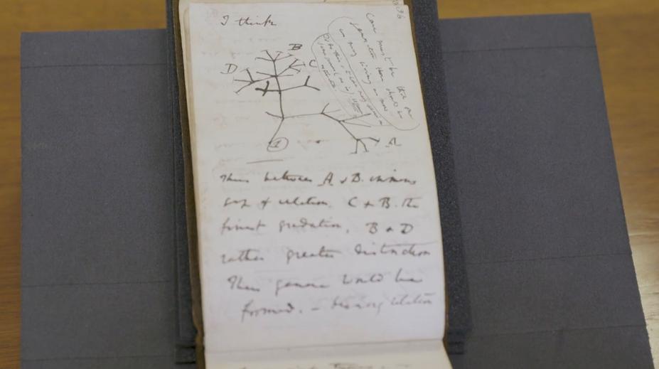 Překvapení pro knihovníky. Někdo po 22 letech vrátil zmizelé Darwinovy zápisníky