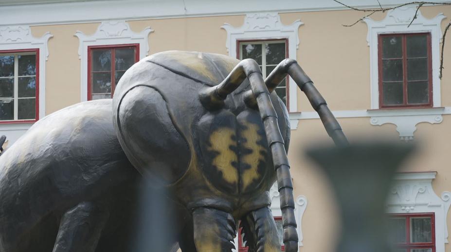 Populární zábavní park dostal zákaz provozu. Chybí mu potřebná povolení