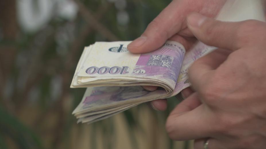 Češi mají rekordní úspory. Stále více peněz dávají do investičních fondů