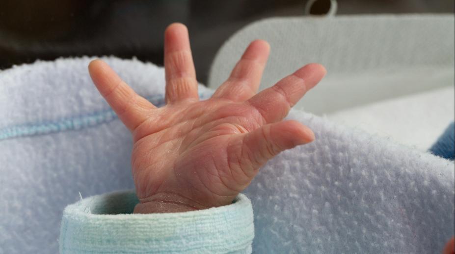 Narodilo se pět extrémně mrňavých miminek. Váží jako čtyři tabulky čokolády