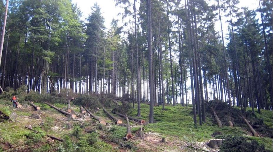 Na východě Slovenska vyhlásili karanténu. V desítkách obcí platí mimořádná opatření