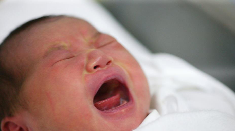 Matka porodila a dítě vyhodila! Prohledávají skládku na Mělnicku
