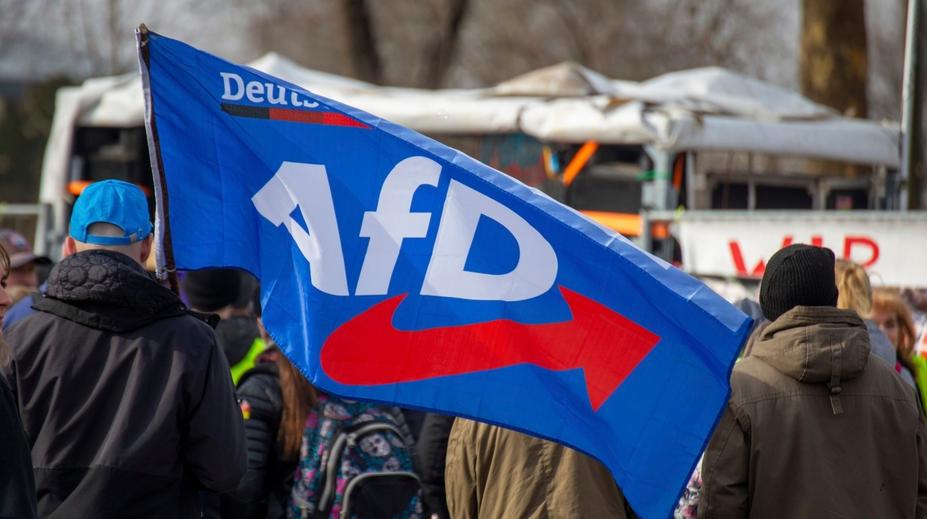 AfD je vysavačem a tlampačem nespokojenosti, říká expert. Její voliči se ale mají dobře