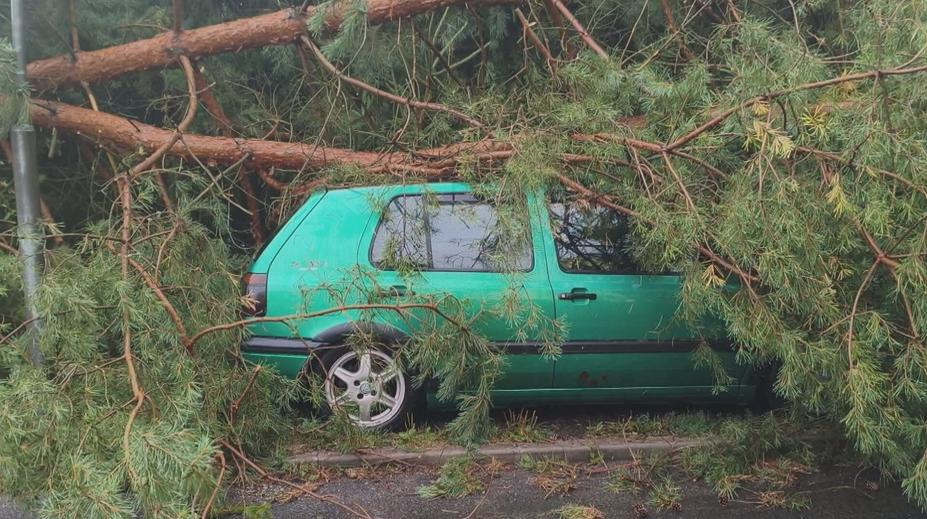 Hasiči měli kvůli bouřkám napilno. Na Novoborsku dokonce řádil downburst
