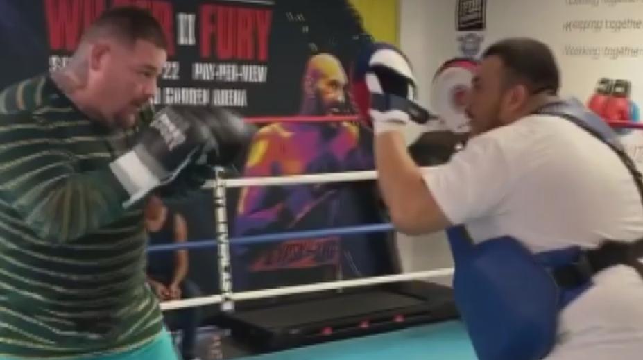 Návrat ve velkém stylu! Andy Ruiz Jr. dostal nabídku na titul WBA
